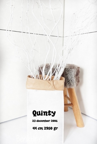 Kleine Paperbag papieren opbergzak met geboortegegevens XS